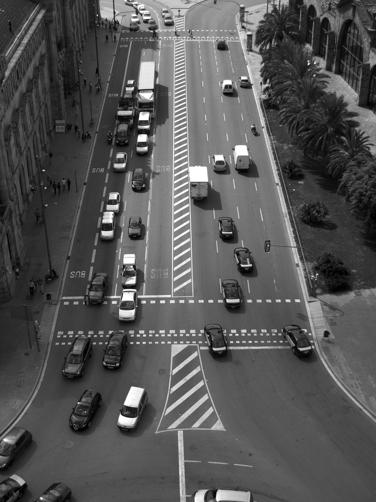birds eye view of vehicles on road between buildings
